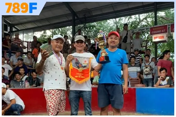 hình thức đặt cược Đá gà C4