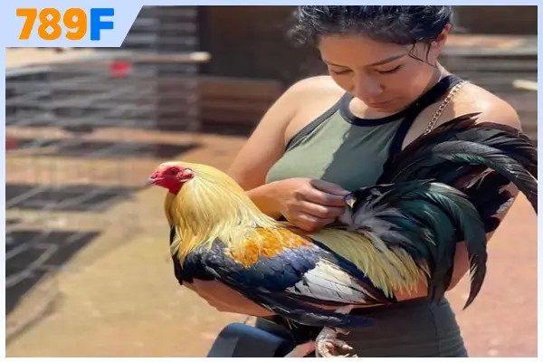 loại hình thi đấu hấp dẫn tại 789F